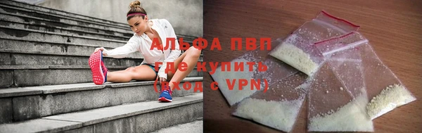 прущие грибы Абаза