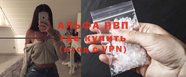 индика Алексин