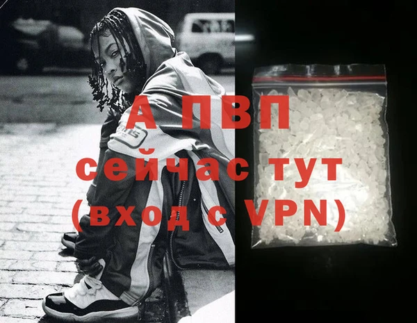 индика Алексин