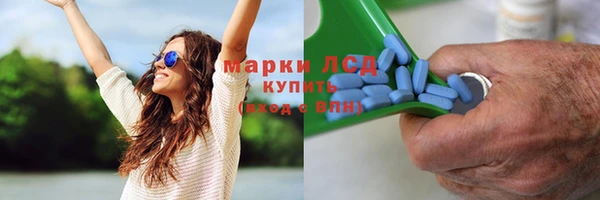прущие крисы Алексеевка