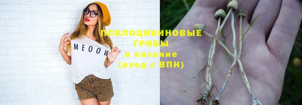 гидропоника Алзамай