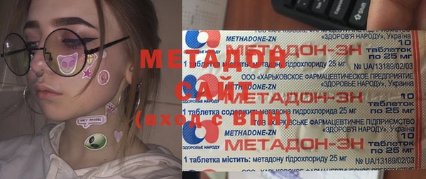 индика Алексин