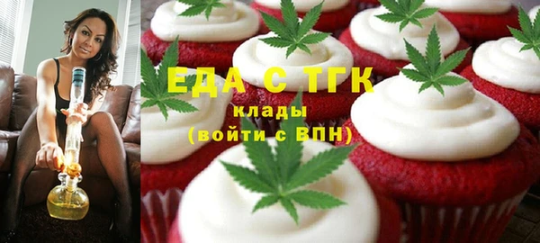 индика Алексин