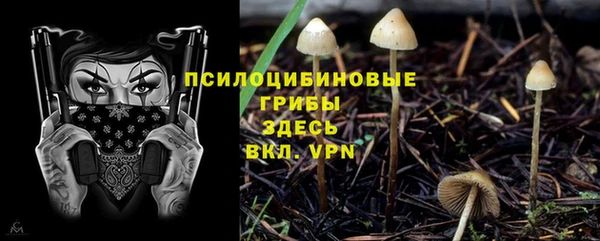 индика Алексин