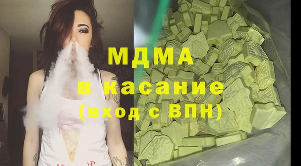 индика Алексин