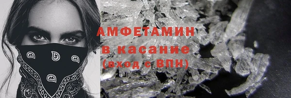 индика Алексин