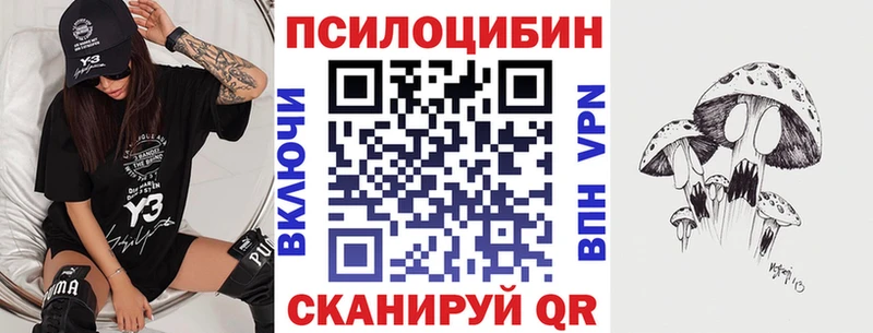 где продают   Мещовск  Галлюциногенные грибы мицелий 